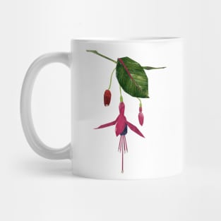 Fuchsia Mug